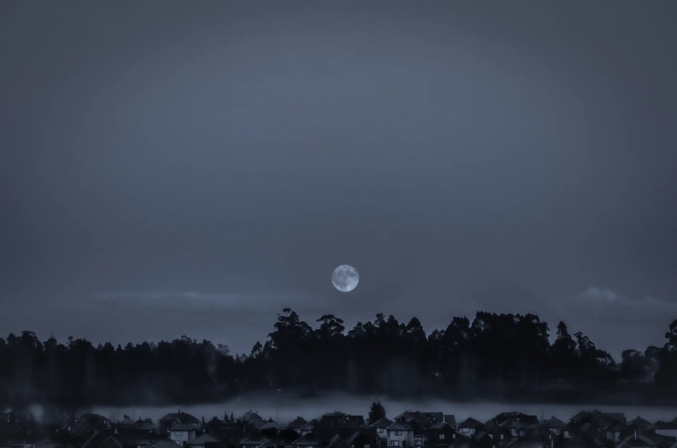 Retrato profesional en estudio