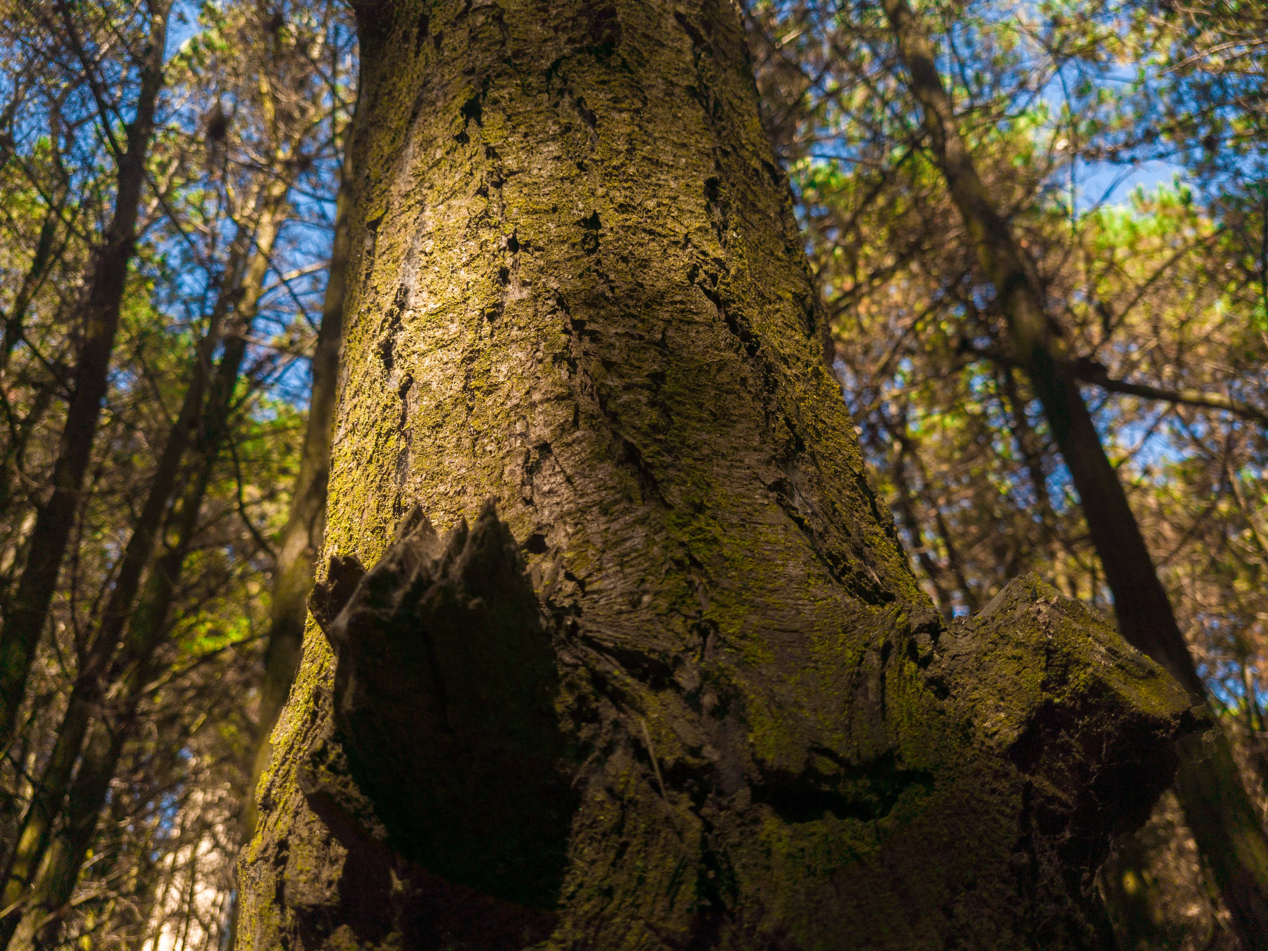 Fotografía Profesional 1
